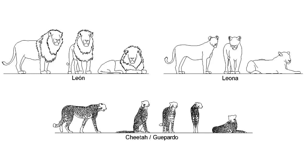 Lion and Cheetah CAD Blocks – Free DWG 2D Plan and Elevation
