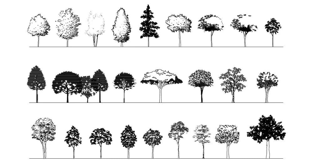Tree CAD Blocks – Free DWG 2D Plan and Elevation