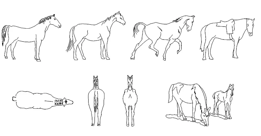 Horses CAD Blocks – Free DWG 2D Plan and Elevation